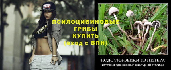 прущие грибы Киреевск